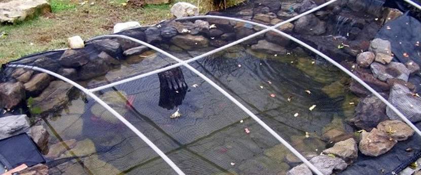  Lay a ponding net over a pond to keep leaves and critters out.